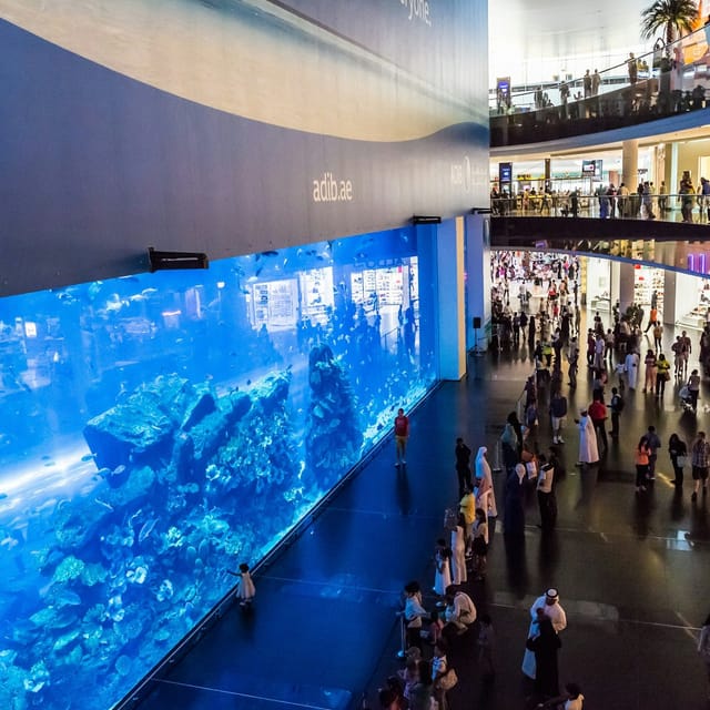 dubai-aquarium-underwater-zoo-ultimate-experience_1